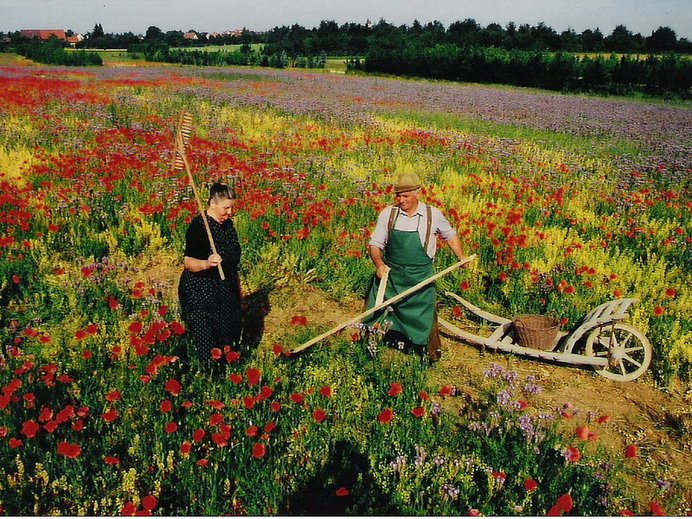 Eine Frau und ein Mann arbeiten auf dem Feld